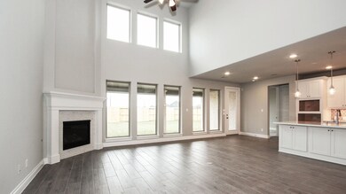 28502 Jade Springs Ln, Fulshear, TX 77441 - photo 3