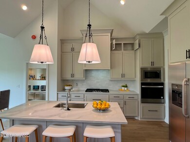 IMG_0709 - Kitchen - Modern - 0