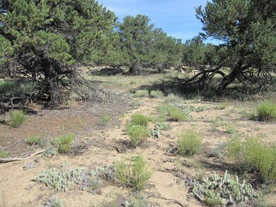 30036 Teal Run unit 13, Buena Vista, CO 81211 - photo 4