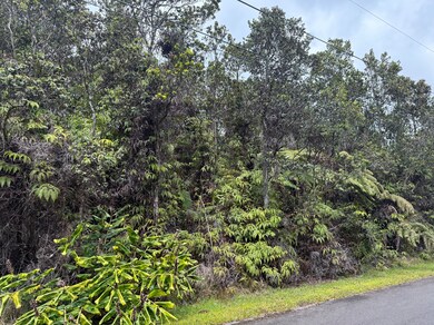 0 8th St unit 719837, Volcano, HI 96785 - photo 4