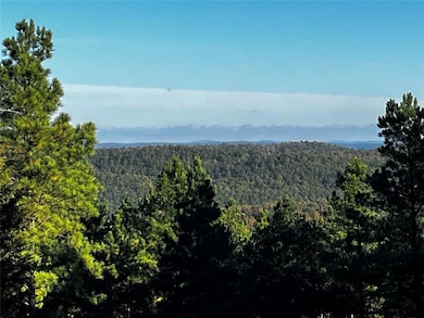 Carter Mtn West Views