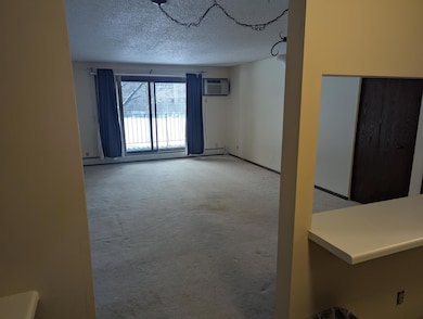 10451 Greenbrier Rd unit 115, Hopkins, MN 55305 - photo 4