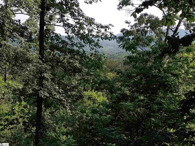 19 Timbers Edge Way, Travelers Rest, SC 29690 - photo 5