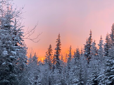 IMG_9579