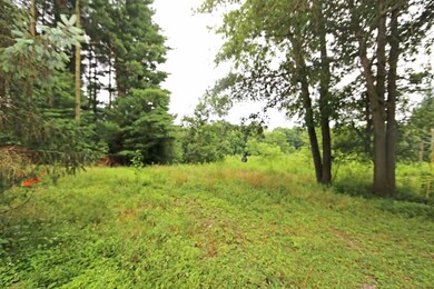 29221 Flat Run Rd, Danville, OH 43014 - photo 2