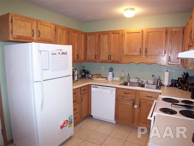 3875 W Palmyra Ct unit 16, Peoria, IL 61604 - photo 6