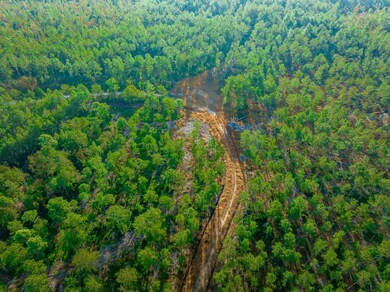 Hwy 45, Loris, SC 29569 - photo 5