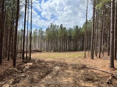 Tract 5 Thomas Springs Rd, Crossville, TN 38572 - photo 2