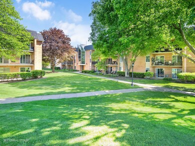 1052 N Mill St unit 206, Naperville, IL 60563 - photo 2