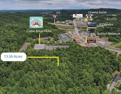 99 Cumberland Falls Hwy, Corbin, KY 40701 - photo 2