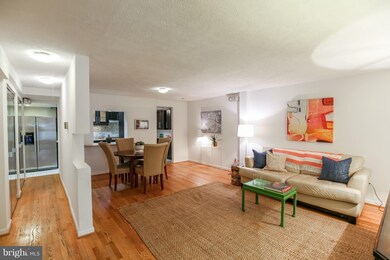 1669 Columbia Rd NW unit T-2, Washington, DC 20009 - photo 5