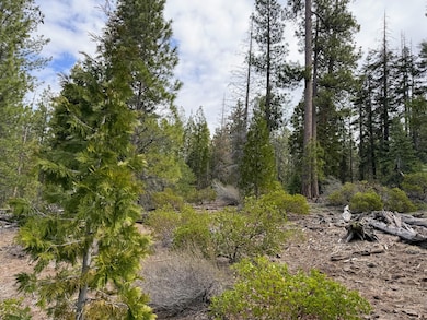 0 Yellowjacket Spring Rd unit 220202108, Beatty, OR 97621 - photo 3