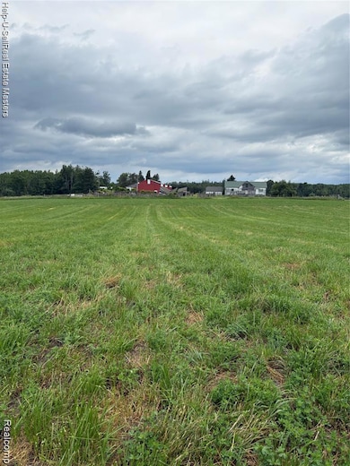 300 E Hubert Rd, Spruce, MI 48762 - photo 5