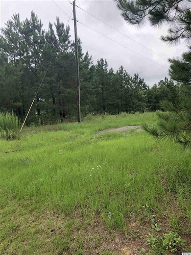 TBD Whispering Hills Rd unit Tract 1; Lot 2, Loris, SC 29569 - photo 3