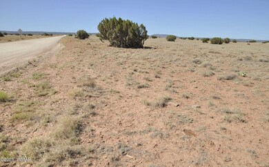 14 Cr 5525, Concho, AZ 85924 - photo 2