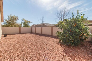 22) BACKYARD_ORANGE TREE