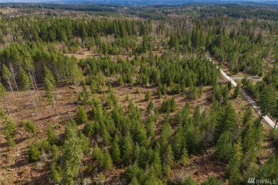 2001 Kinsman Ct E, Roy, WA 98580 - photo 6