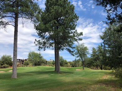 608 N Trailhead Dr unit 16, Payson, AZ 85541 - photo 3