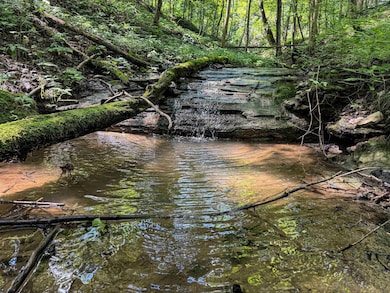 TBD Scenery Hill Rd, Wellsburg, WV 26070 - photo 2