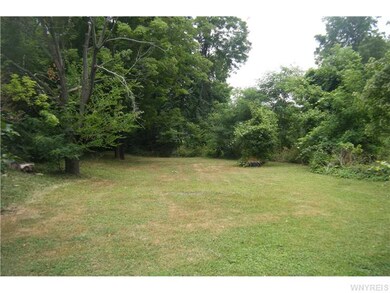 Backyard.