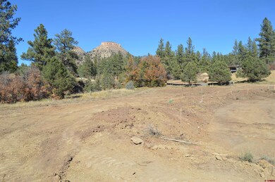 109 Wild Chives Ct, Durango, CO 81301 - photo 7