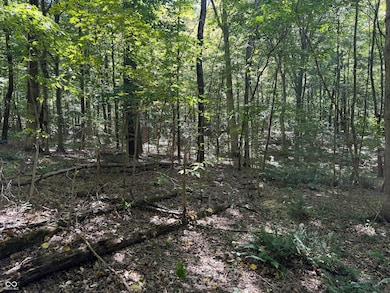 0000 S Big Springs Rd, New Pekin, IN 47165 - photo 2