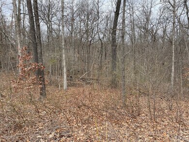 0 Rockhill Ln unit 1241826, Bella Vista, AR 72715 - photo 2