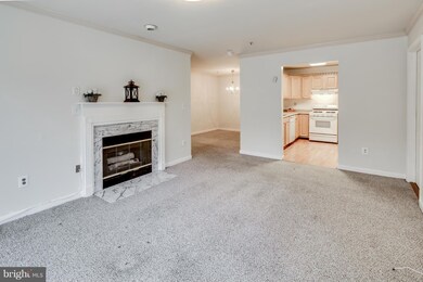2 Tyler Falls Ct unit L, Baltimore, MD 21209 - photo 6