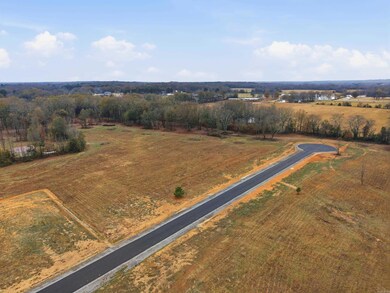 Lot 10 Crescent Cove, Ward, AR 72176 - photo 4