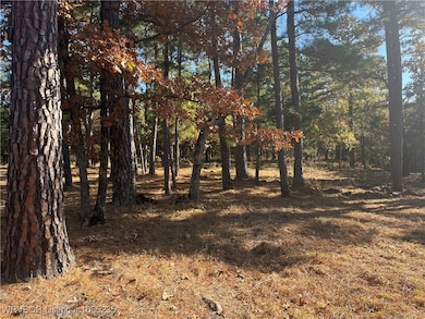 40280 Lloyd Ln, Wister, OK 74966 - photo 2