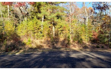 LT 43 Cant Hook Dr, Ellijay, GA 30540 - photo 3