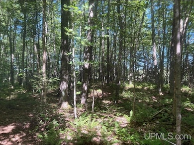 94 +/- Acres Peter White Rd, Deerton, MI 49822 - photo 4