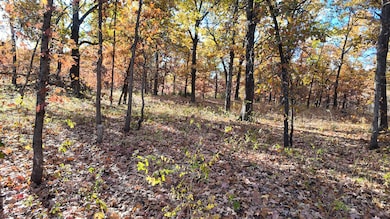 0000 County Road 64, Wheatland, MO 65779 - photo 3