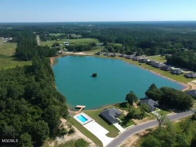 areal view pool lake