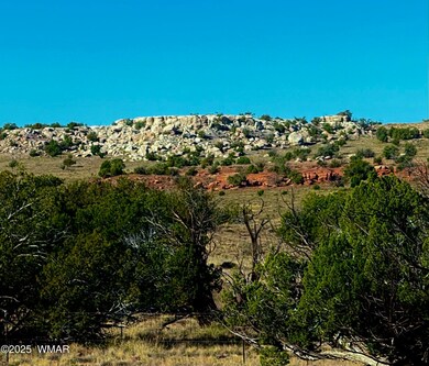 228, Concho, AZ 85924 - photo 2