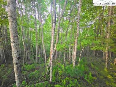 21 Eagle Landing Dr, Crumpler, NC 28617 - photo 4