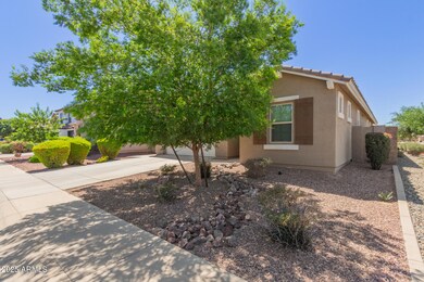 3507 E Alfalfa Dr, Gilbert, AZ 85298 - photo 3