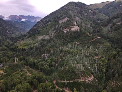 0 Tbd County Road 124, Hesperus, CO 81326 - photo 6