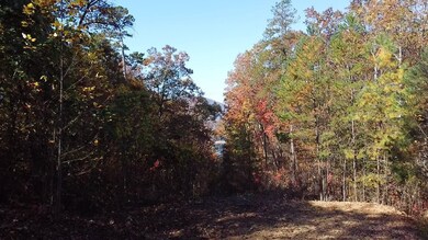 View Looking West Towards Lake
