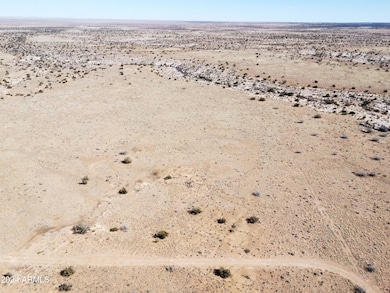 DJI_0220