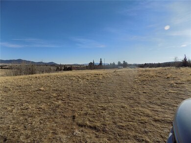 16 Buckshot Way, Como, CO 80432 - photo 5