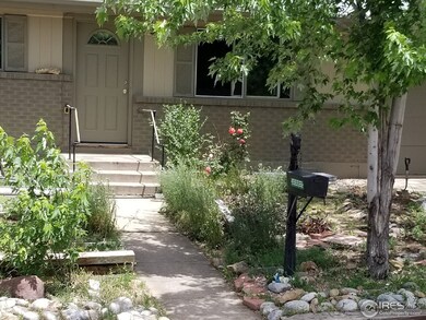 Front Yard