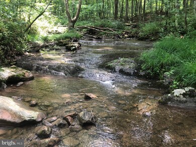 0 Corner Rt 259 & Hunkerson Gap Rd unit WVHD2000974, Mathias, WV 26812 - photo 2