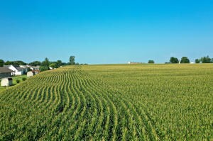 000 Foster Ln, Stanford, KY 40484 - photo 4