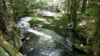 10 brook 4_800x450