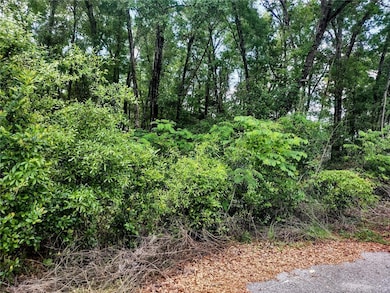 TBD NE 155th Ct, Williston, FL 32696 - photo 4