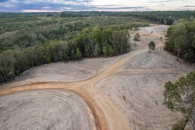 1190 County Road 950, Crane Hill, AL 35053 - photo 2