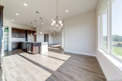 238 Peter Kleid Loop, Blanco, TX 78606 - photo 7