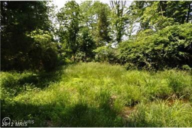 0 Gleedsville Rd unit 1004179568, Leesburg, VA 20175 - photo 6