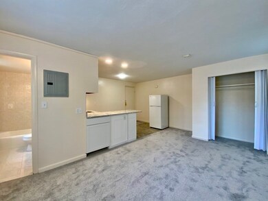 34 Clark St unit 4, Arlington, MA 02476 - photo 4